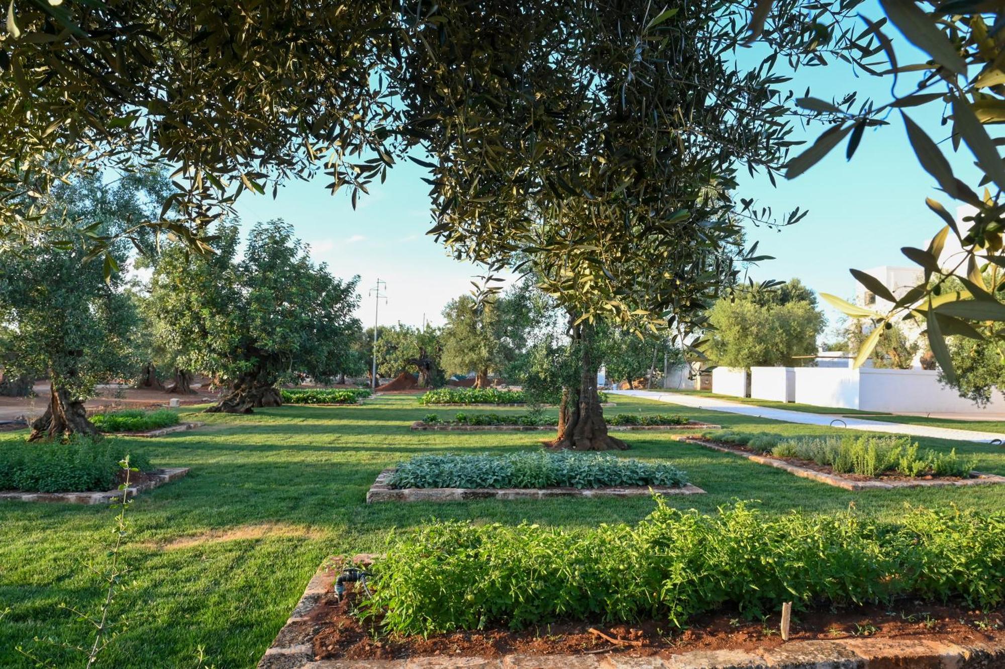 Masseria San Lorenzo Resort Fasano Exterior foto